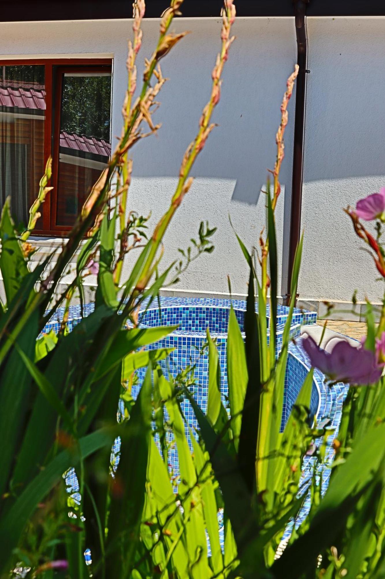 Holiday House Kubrat 사파레바바냐 외부 사진